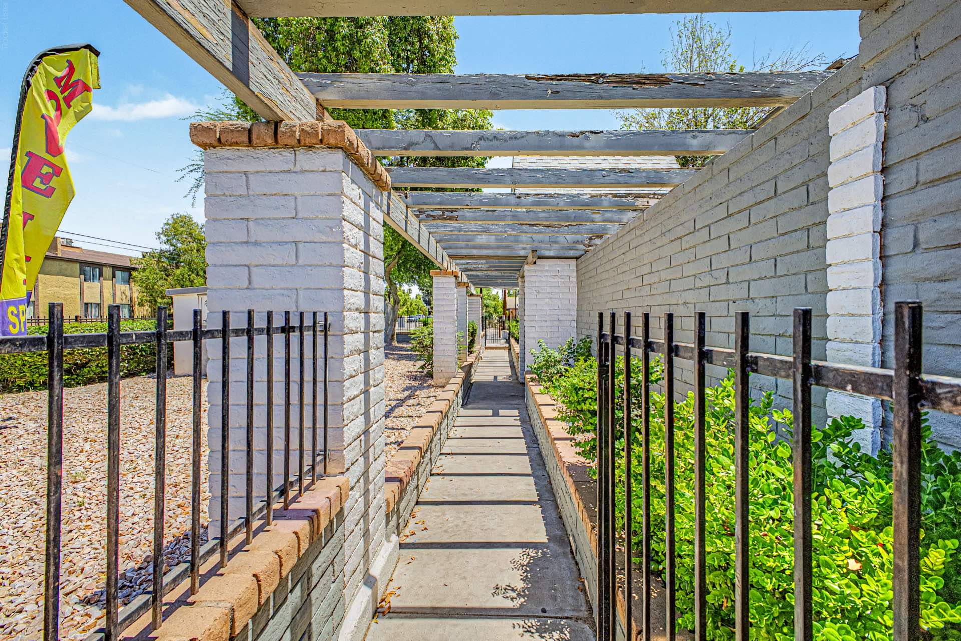 Oasis 33 — photo 4 of 11